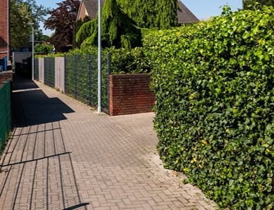 Wir realisieren Zäune und Sichtschutzlösungen nach den Gegebenheiten des Grundstücks und sorgen für klare Abgrenzungen und mehr Privatsphäre.